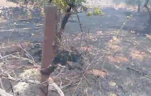 Thumbnail preview image for the video titled: Israeli settlers set fire to agricultural land in the village of Burqa