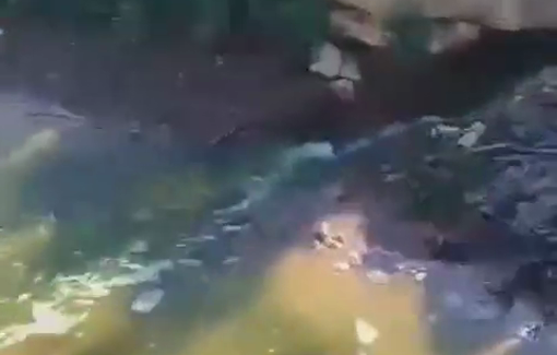 Thumbnail preview image for the video titled: Israeli settlers flooded Palestinian farmland with wastewater from the Kfar Etzion wastewater treatment plant, causing extensive damage to agricultural crops