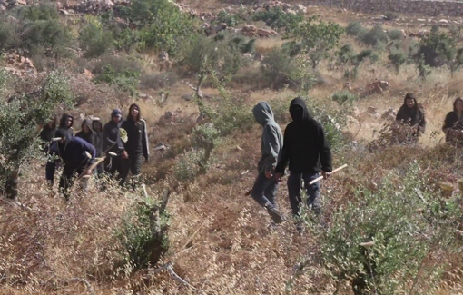 Thumbnail preview image for the video titled: Israeli masked settlers attacked Palestinian farmers and activists near the village of Khirbet Abu Falah