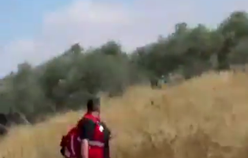 Thumbnail preview image for the video titled: Gangs of masked, armed settlers attacking Palestinian farmers and activists trying to enter their land in Khirbet Abu Falah