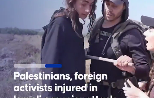 Thumbnail preview image for the video titled: Several Palestinians and activists injured in an attack by dozens of Israeli settlers near Khirbet Abu Falah