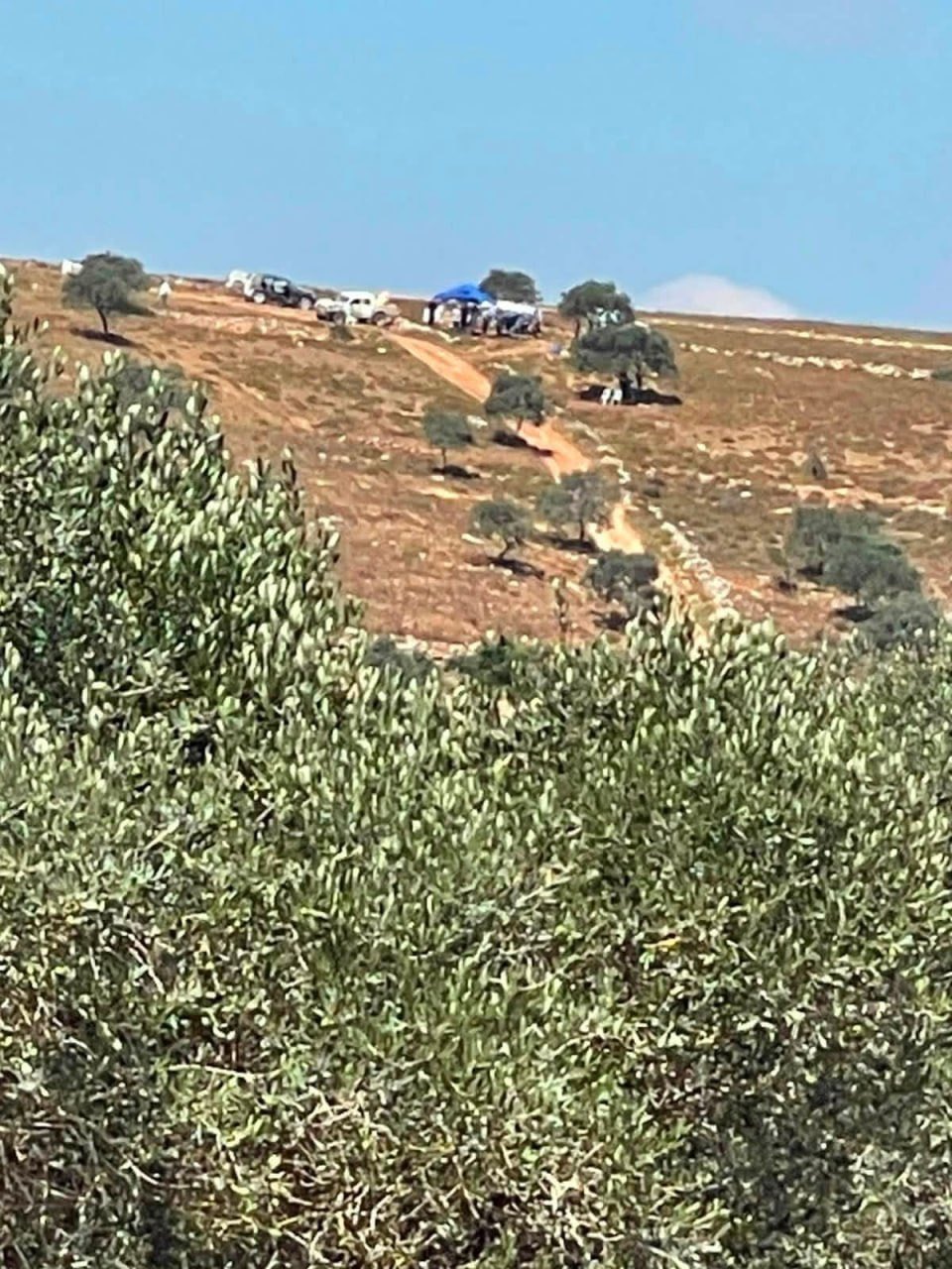 Thumbnail preview image for the video titled: Israeli settlers established a new settlement outpost on Palestinian-owned lands in Yasid village, north of Nablus