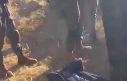 Thumbnail preview image for the video titled: Settler Moshe Bialystocky continuously invades with a flock of sheep into fenced olive groves on Palestinian land