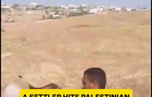 Thumbnail preview image for the video titled: Moshe Bialystocki threats the Huwara residents with a dog and assaults a woman with its chain