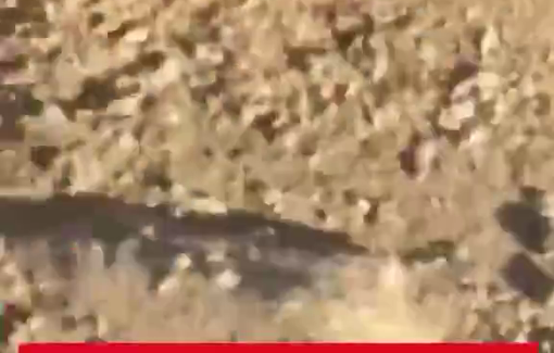 Thumbnail preview image for the video titled: Several settlers from the “Or Yehuda” outpost attacked in Wadi Rakhim with rocks and damaged the infrastructure