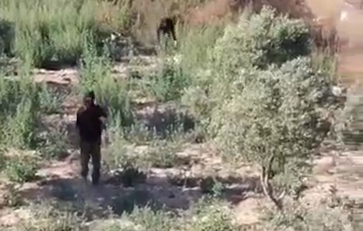 Thumbnail preview image for the video titled: Settlers from Tel Talpiyot outposts besiege the Tubasi family house in Jalud for two weeks