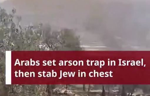 Thumbnail preview image for the video titled: After the dealdy settler attack and arson on agricultural land in Beit Furik, Israeli media reframed the event