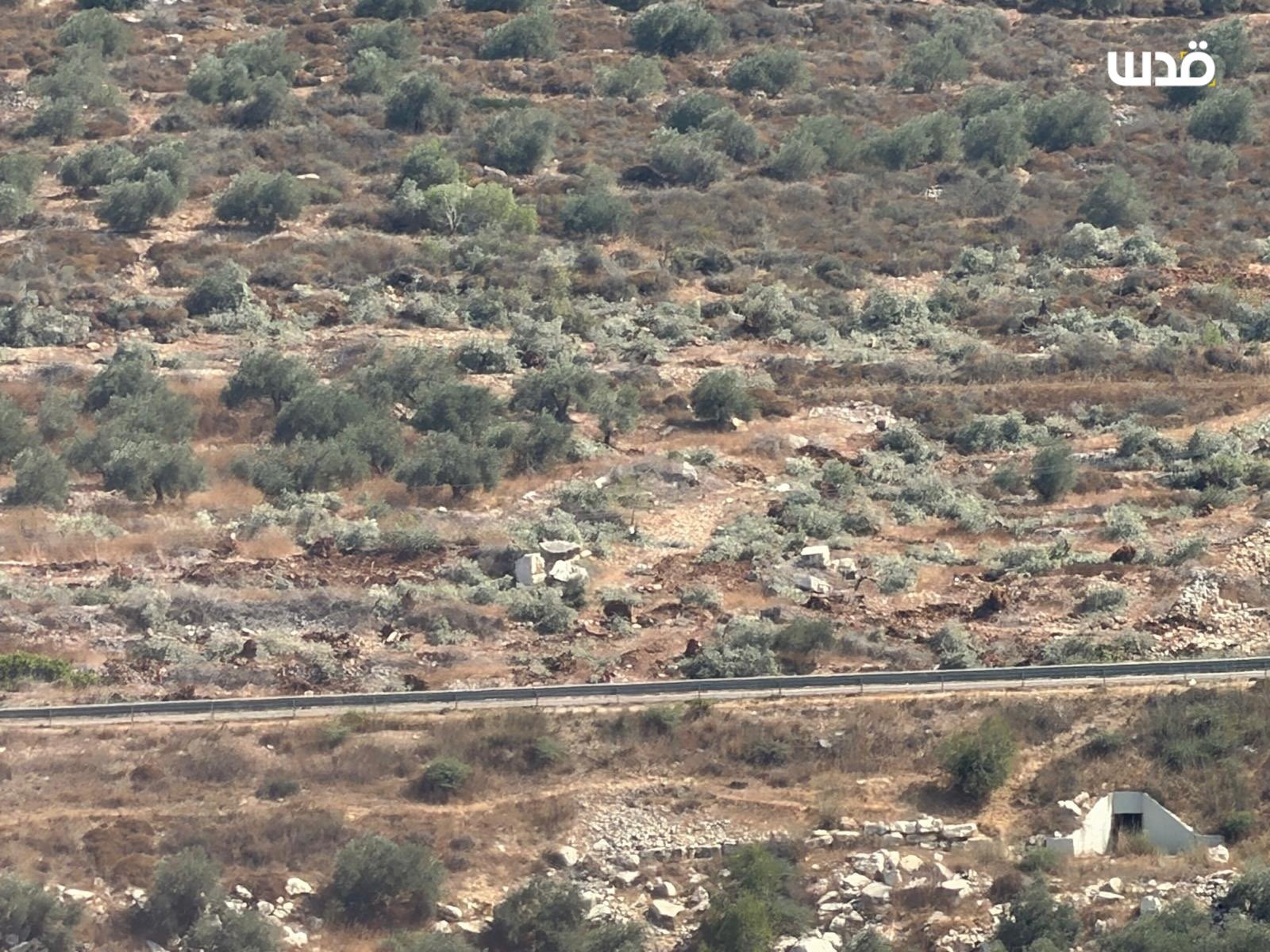 Thumbnail preview image for the video titled: Israeli settlers cut down olive trees belonging to Palestinian farmers during their attack on the village of Tell