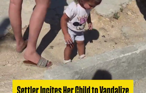 Thumbnail preview image for the video titled: Settler woman incites toddler to vandalize Palestinian village