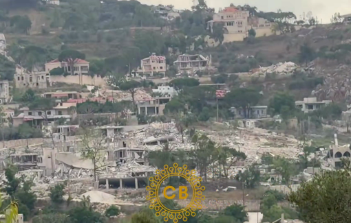Thumbnail preview image for the video titled: Inspection of the damage in 19 Lebanese villages indicates the destruction of 18,000 buildings