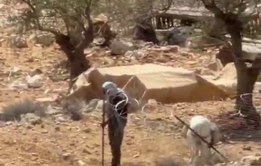 Thumbnail preview image for the video titled: In the Taybeh Junction, settlers come to their homes, cut fences, and sow destruction and fear