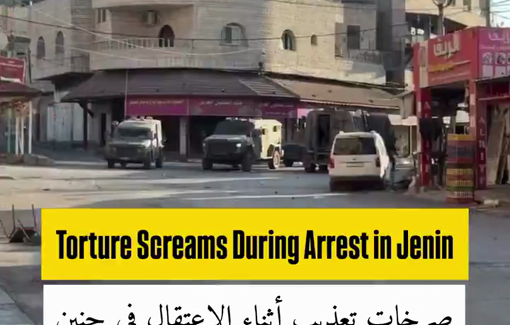 Thumbnail preview image for the video titled: A Palestinian is crying out in agony while Israeli forces are detaining him