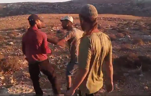 Thumbnail preview image for the video titled: Sanctioned settler Ynon Levi assaulting farmers of As Simiya on their own land