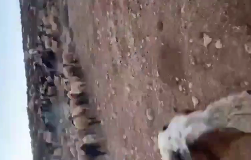 Thumbnail preview image for the video titled: Ynon Levi tried to ram on farmers of Wadi Tiran