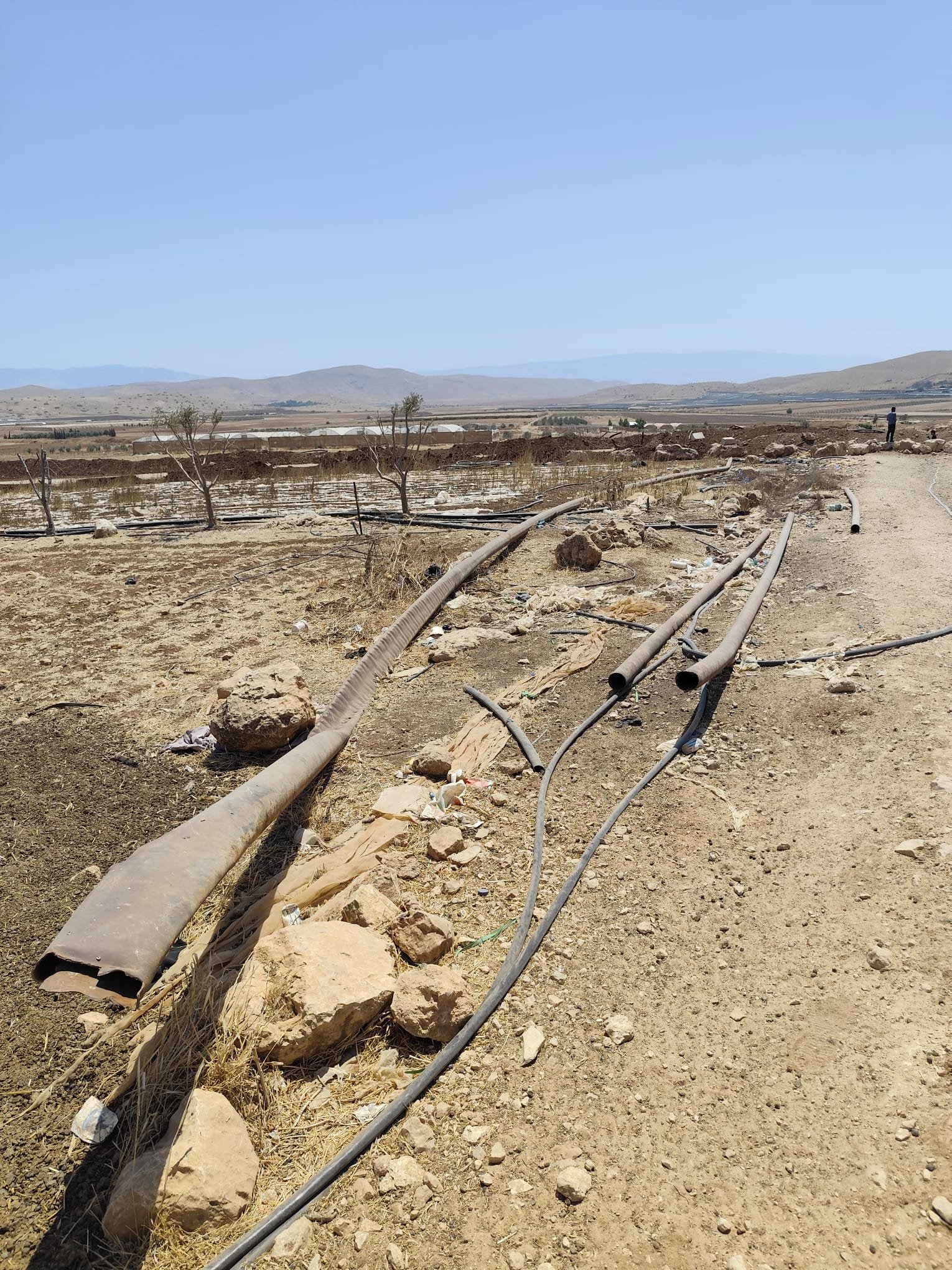 Thumbnail preview image for the video titled: The "Crimson Thread" barrier is built over Palestinian agricultural lands and greenhouses in the Jordan Valley