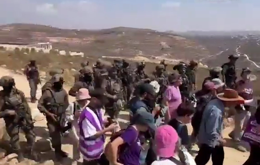 Thumbnail preview image for the video titled: Soldiers block food deliveries to besieged families, then let three activists in under crowd pressure