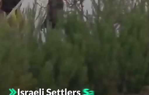 Thumbnail preview image for the video titled: Israeli settlers sabotaged a water heater at one of three Palestinian homes under siege in Qusra