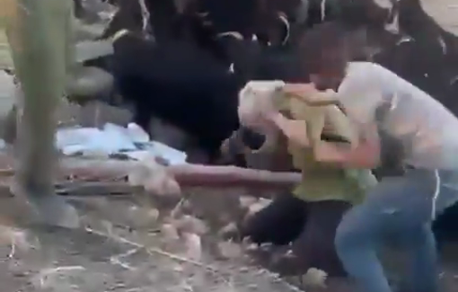 Thumbnail preview image for the video titled: Naif Kaabne, a Bedouin from Taiyeh, who's family is facing constant settler attacks, interviewed to Israeli radio