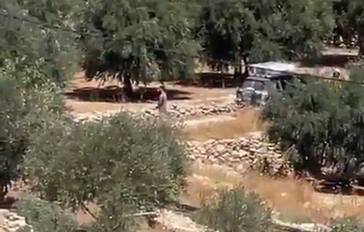 Thumbnail preview image for the video titled: An Israeli settler points a weapon at children in the Khillet al-Natsh area, south of the city of Hebron