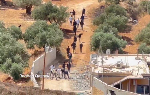 Thumbnail preview image for the video titled: Israeli settlers attacking the village of Qusra in southern Nablus, despite the Closed military zone