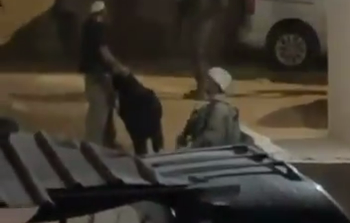 Thumbnail preview image for the video titled: Israeli settlers steal a number of sheep while raiding a home in the town of Al-Mughayyir
