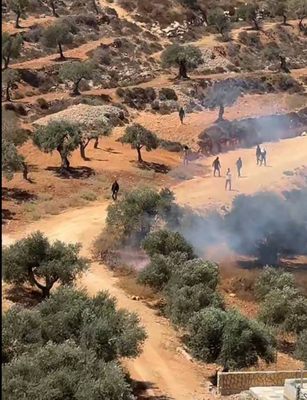 Thumbnail preview image for the video titled: Dozens of settlers set fire to the agricultural lands in Qusra