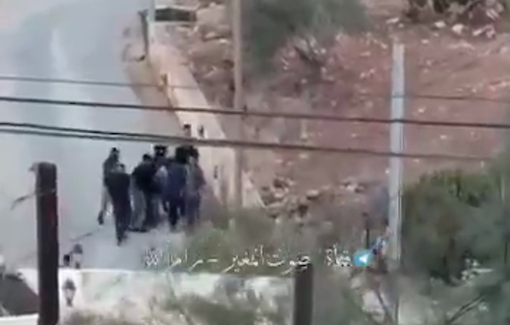 Thumbnail preview image for the video titled: Palestinian youth shot in the foot while confronting a settler attack on his village