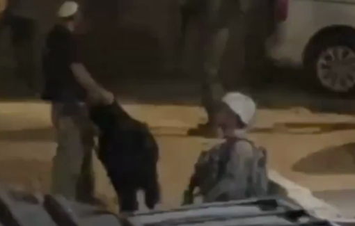 Thumbnail preview image for the video titled: Israeli settlers stabbed and shot ~10 Palestinian sheep to death, then stole 40+ more under soldier protection in Al-Mughayyir
