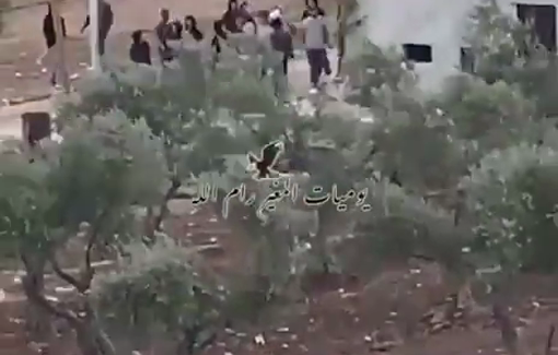 Thumbnail preview image for the video titled: In Al-Mughayyir, settlers raided the outskirts of the village and attempted to steal residents’ sheep and livestock