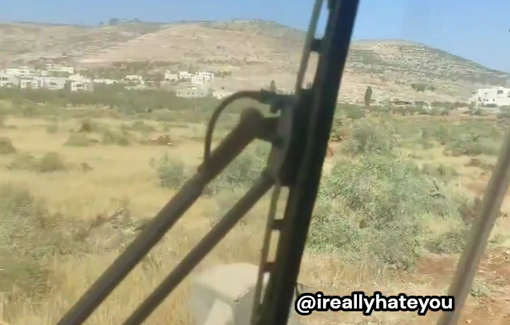 Thumbnail preview image for the video titled: Another settler-soldier operating a bulldozer boasted about mowing down thousands of olive trees, some ancient, in Al-Mughayyir