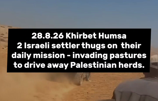 Thumbnail preview image for the video titled: Settler assaulting shepherds of Khirbet Humsa on their own land