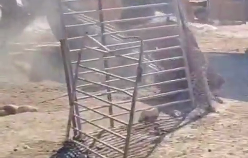 Thumbnail preview image for the video titled: An Israeli bulldozer destroys a Palestinian residential shelter in the Bedouin community of Khirbet Al-Fakheit