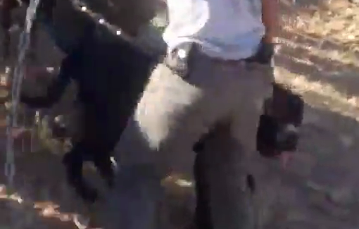 Thumbnail preview image for the video titled: Moshe Bialystoki is seen whipping a Palestinian woman with a metal dog chain