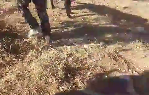 Thumbnail preview image for the video titled: Moshe Bialystoki is seen whipping a Palestinian woman with a metal dog chain