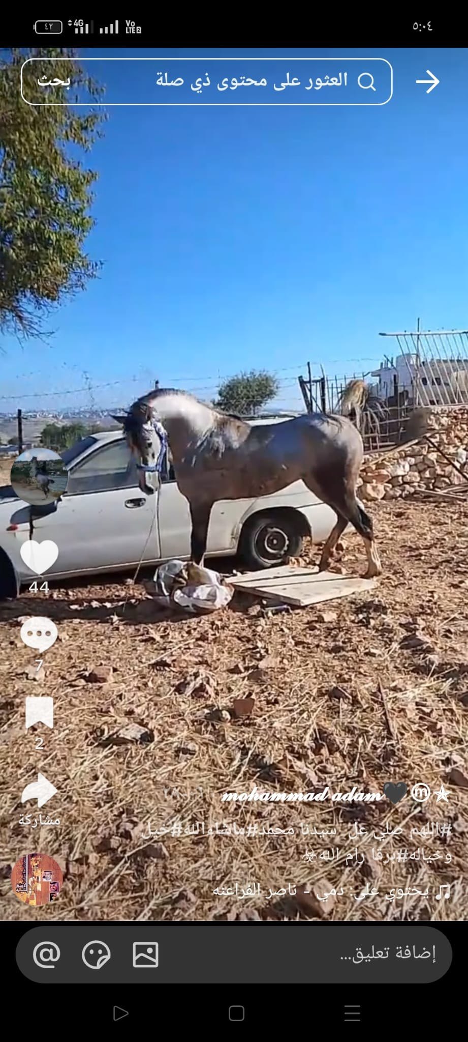 Thumbnail preview image for the video titled: Israeli settlers stole a Palestinian horse in Burqa (Ramallah)