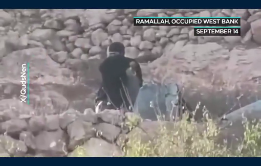 Thumbnail preview image for the video titled: Israeli settlers attacked the Palestinian village of Burqa and attempted to steal Palestinians' livestock