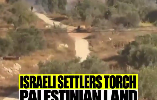 Thumbnail preview image for the video titled: Israeli settlers set fire to Palestinian land in the village of Burqa, east of Ramallah