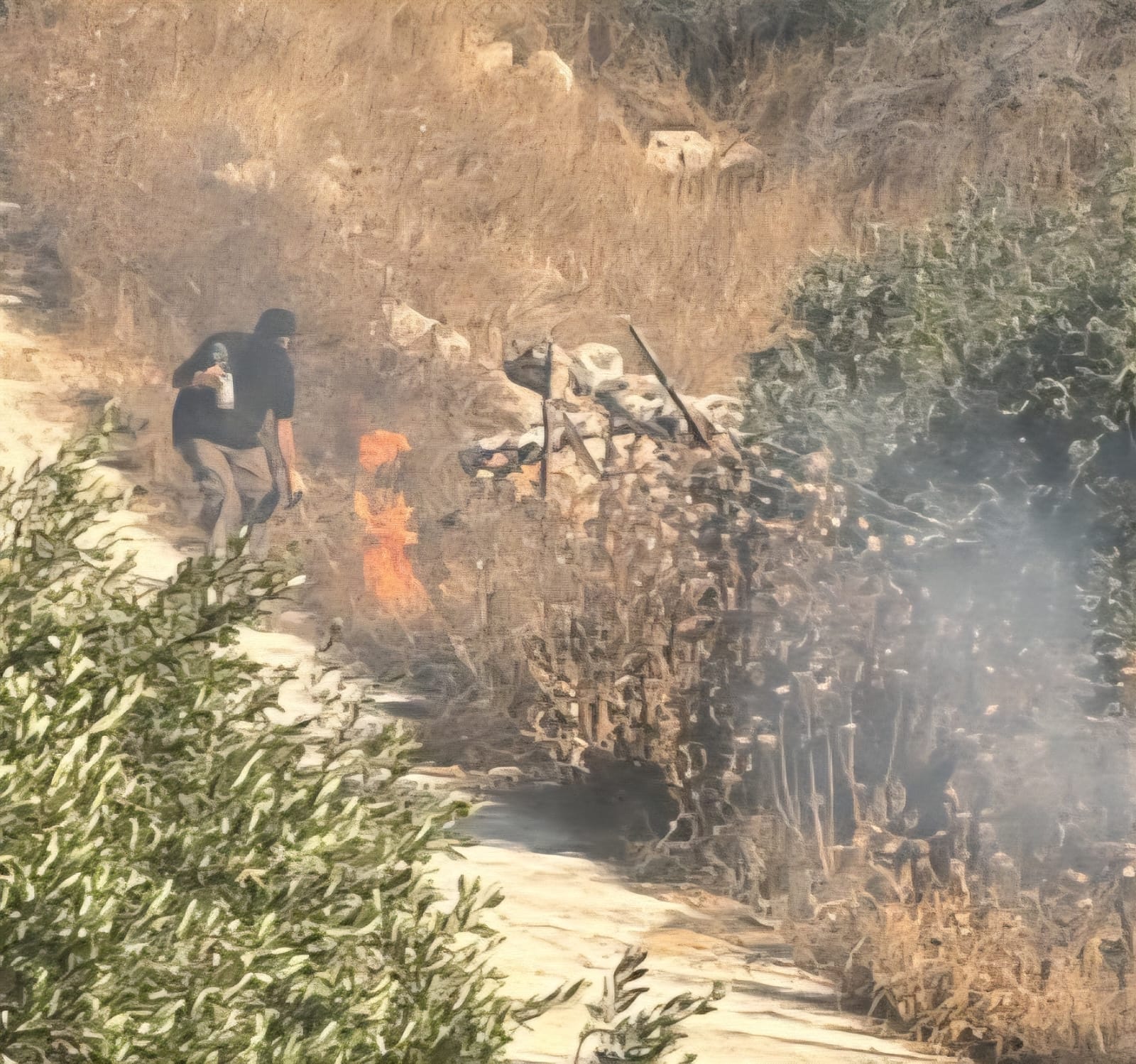 Thumbnail preview image for the video titled: Settlers from « Ouz Zion » and « Gi'vat Asaf » set fire to Palestinian fields in Burqa under Israeli soldiers protection