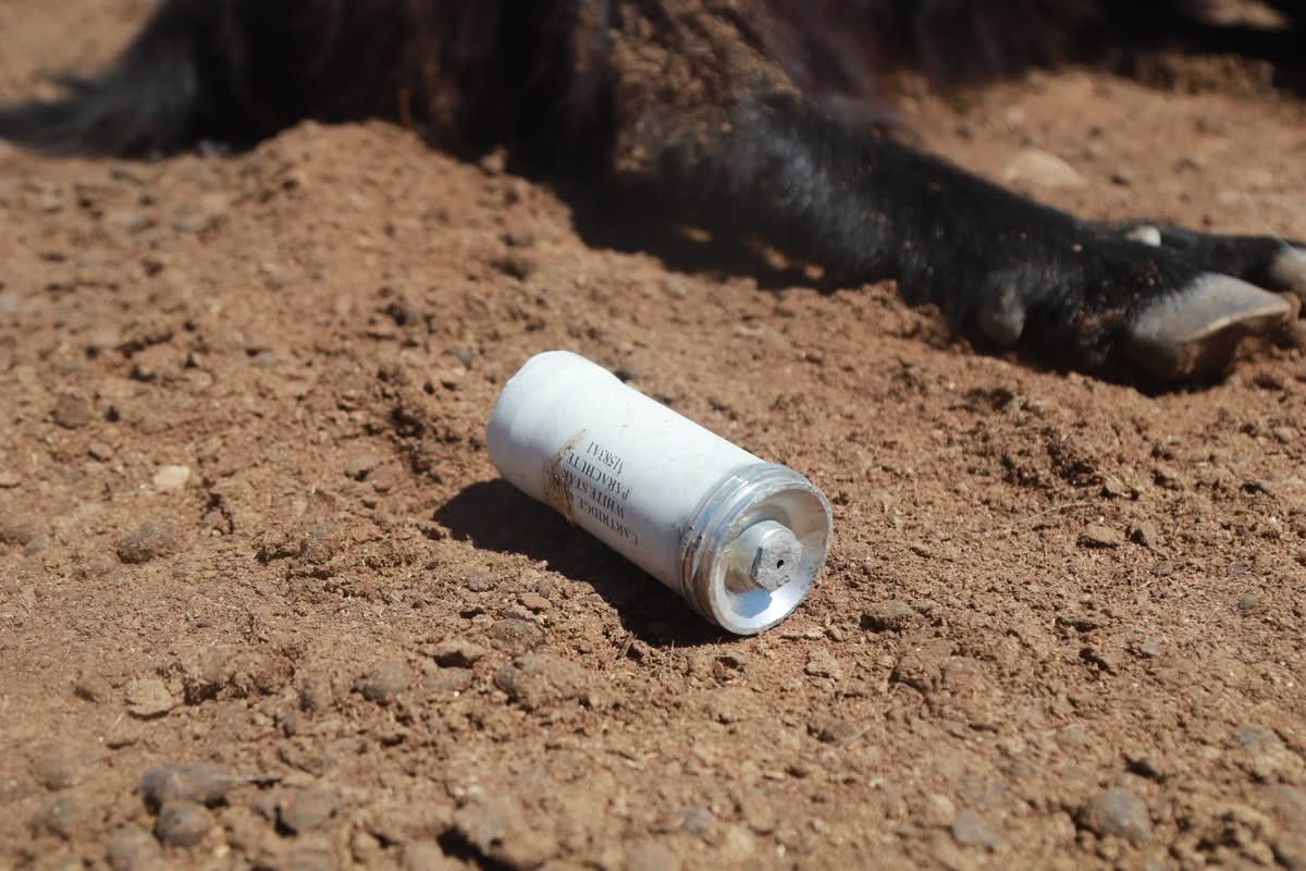 Thumbnail preview image for the video titled: Illumination projectile found at site where Israeli artillery killed herd of goats