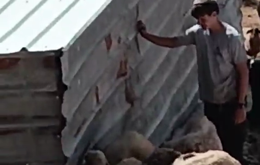 Thumbnail preview image for the video titled: Daily invasion by settlers of the Palestinian property in Dar Faza'a