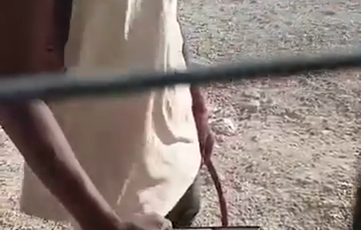 Thumbnail preview image for the video titled: More settlers invade the community near Taybeh junction every day