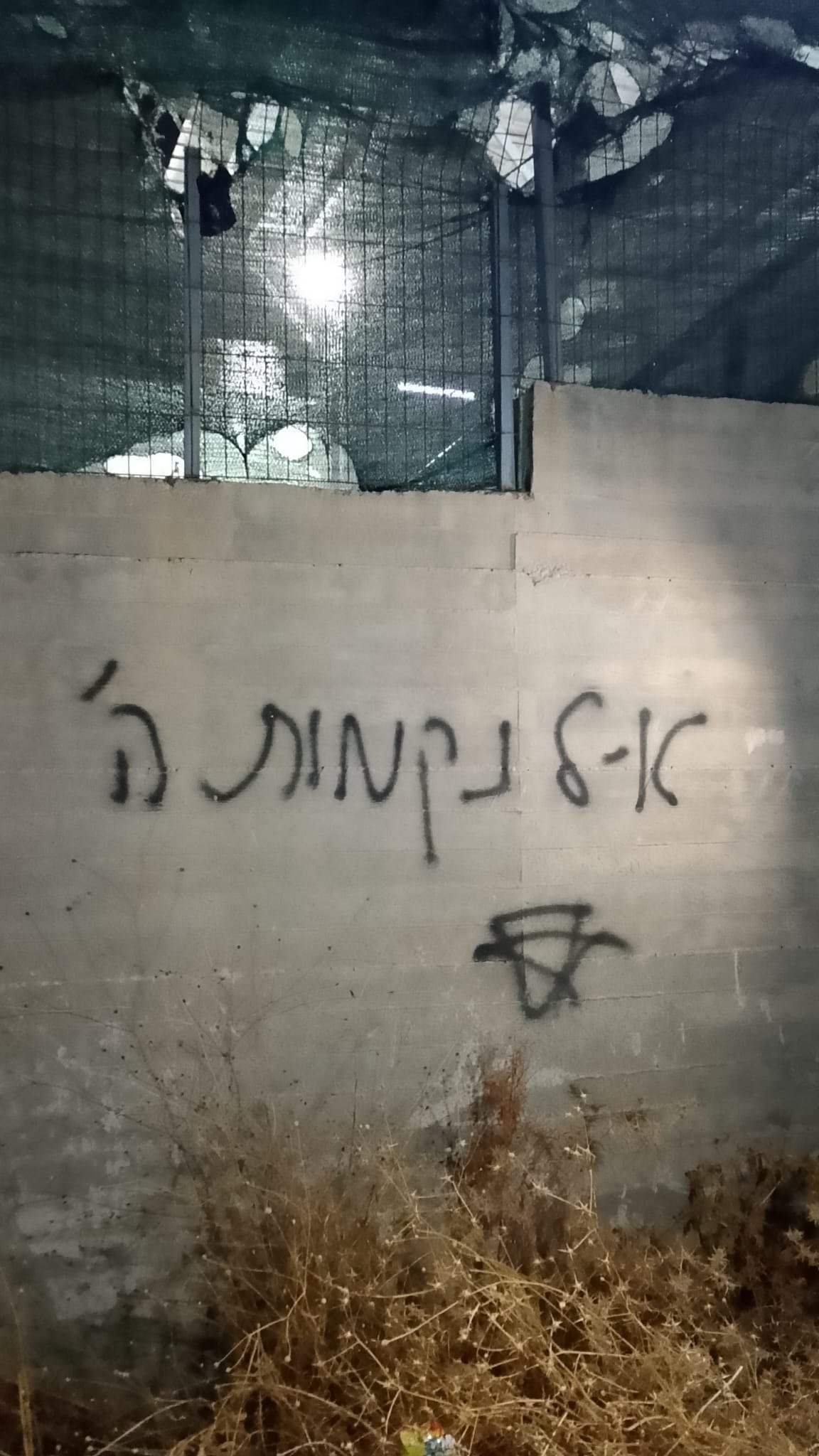 Thumbnail preview image for the video titled: Israeli settlers sprayed racist slogans during their pogrom in Rantis