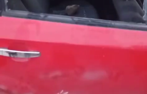 Thumbnail preview image for the video titled: Israeli settlers threw rock on a Palestinian vehicle on the “Marj Si‘” road between the towns of Al-Mughayyir and Abu Falah