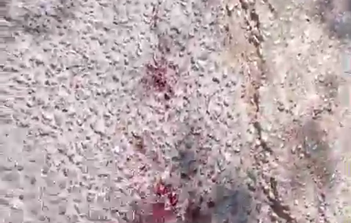 Thumbnail preview image for the video titled: Israeli settlers shot Palestinian farmers in Yasuf during the olive harvest, 2 wounded, one died later