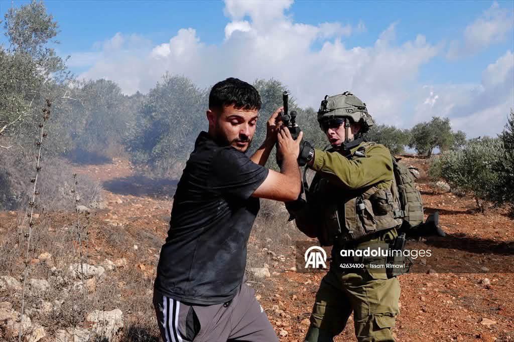 Thumbnail preview image for the video titled: At gun point, the Israeli soldiers prevents residents of Beita from harvesting olives