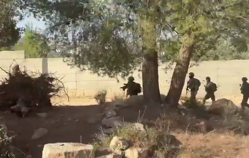 Thumbnail preview image for the video titled: Settlers, protected by Israeli soldiers, attacked residents and farmers in the Jabal Qamas area of Beita during olive harvest
