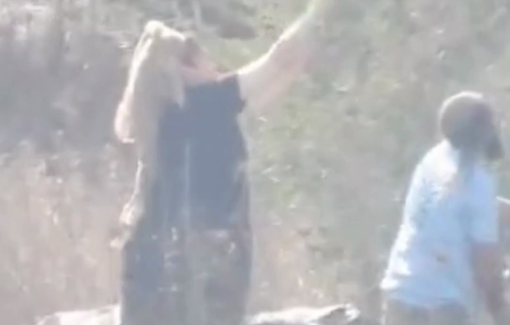 Thumbnail preview image for the video titled: Settlers stealing olives in Umm Safa, Jurish, Beiiliu and Burin