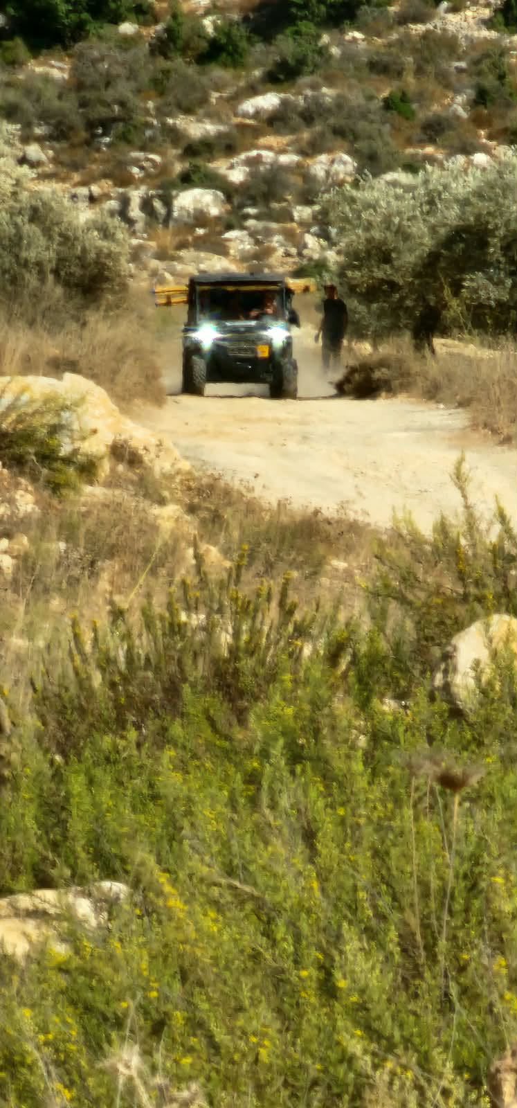 Thumbnail preview image for the video titled: In Abwein, Ramallah Governorate. Jewish settlers steal olive and harvest equipment