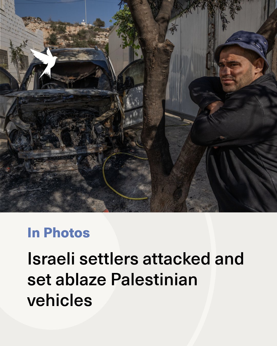 Thumbnail preview image for the video titled: Israeli settlers attacked and set ablaze Palestinian vehicles in the village of Aqraba