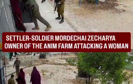 Thumbnail preview image for the video titled: Settlers from “Havat Anim” outpost attacked a Palestinian family in the village of Ghwein
